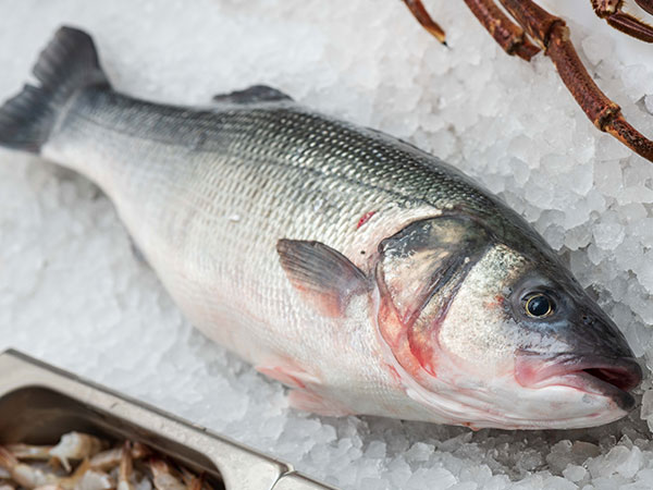 branzino