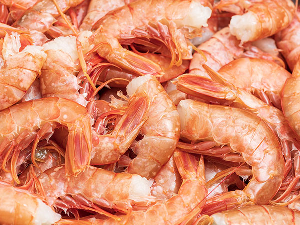 gambas