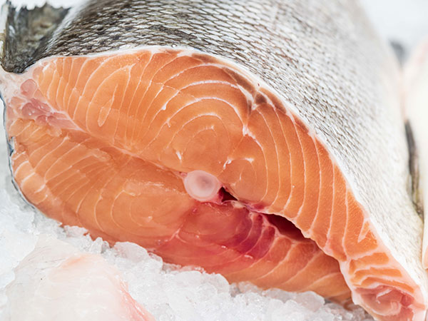 salmone
