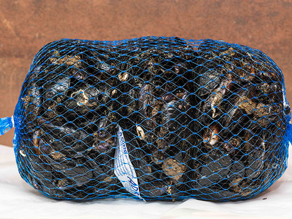Cozze