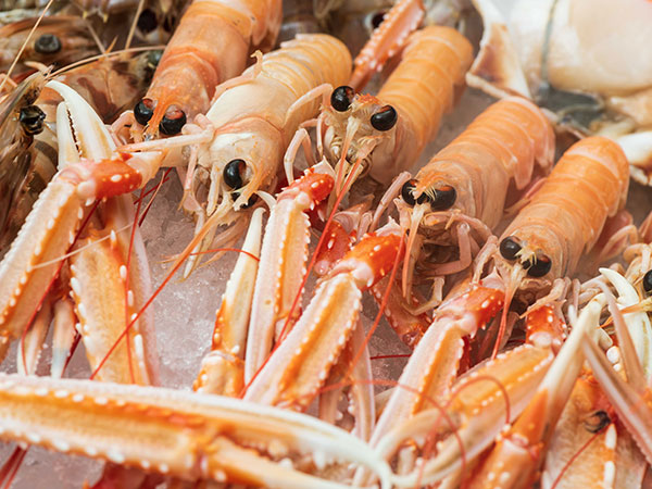 Scampi
