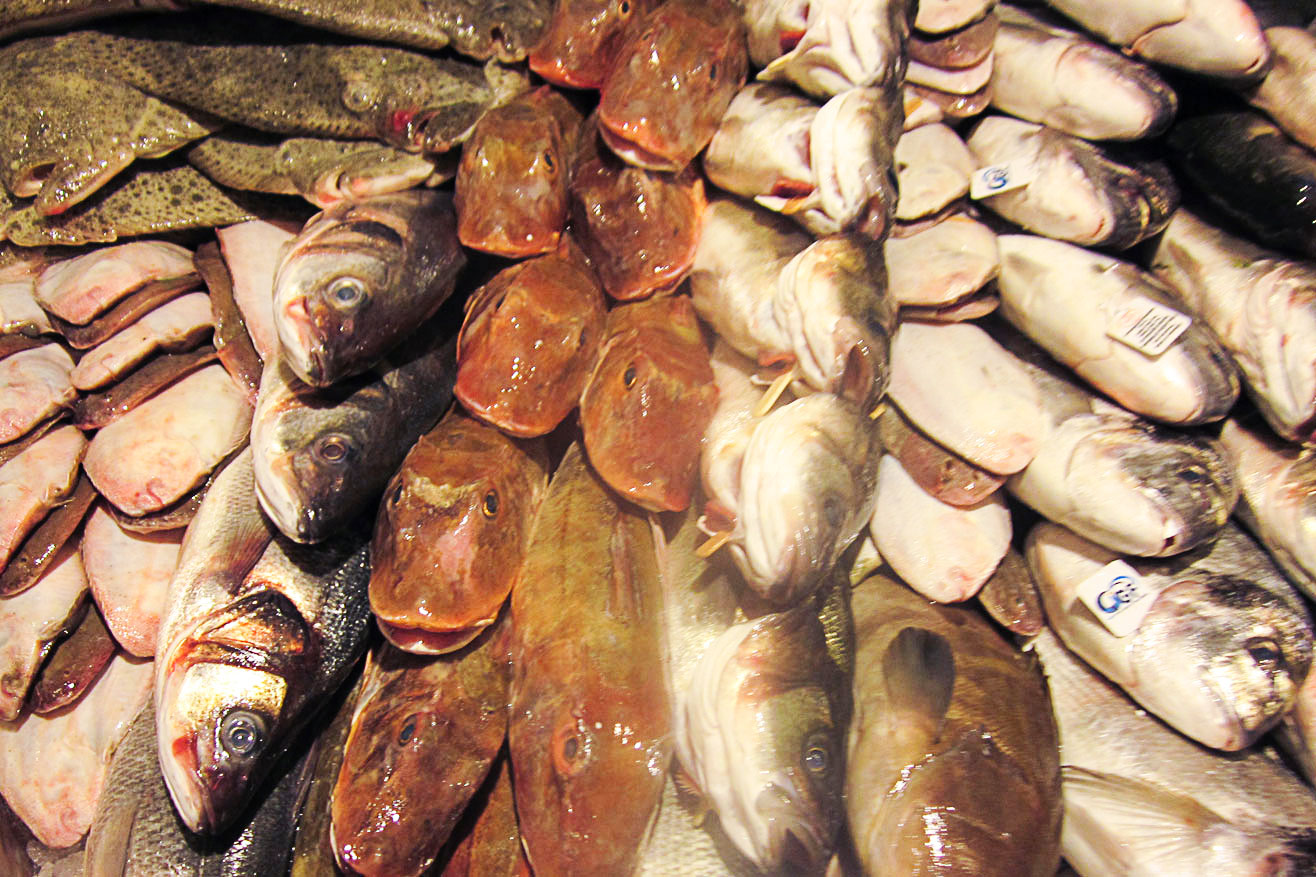 Pesce fresco