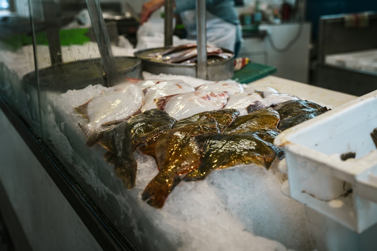 Pesce piatto fresco su un letto di ghiaccio tritato.