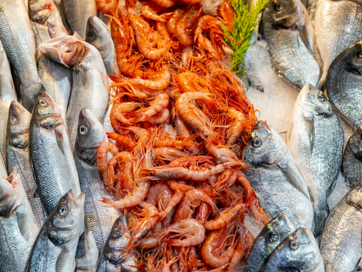 Pesce fresco e gamberi disposti su ghiaccio tritato in un mercato.