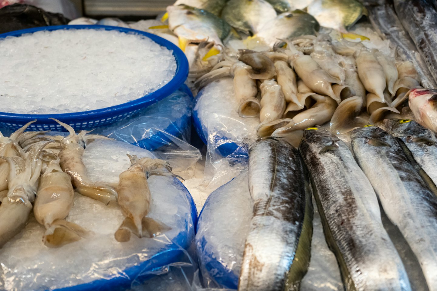 Pesce fresco e calamari esposti su ghiaccio tritato al mercato.