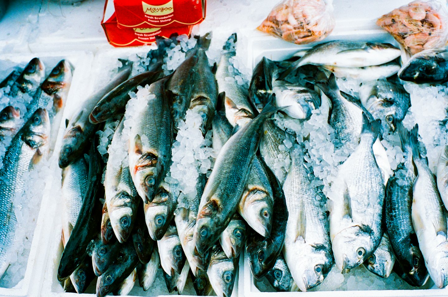 Pesce fresco intero e gamberi esposti sul ghiaccio in un mercato.