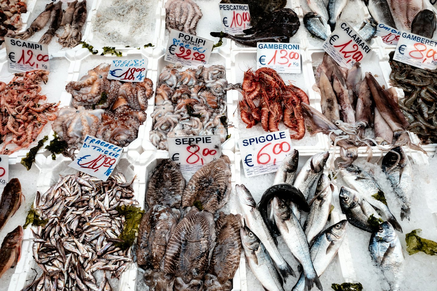 Pesce fresco sul ghiaccio in una bancarella di un mercato italiano al coperto.