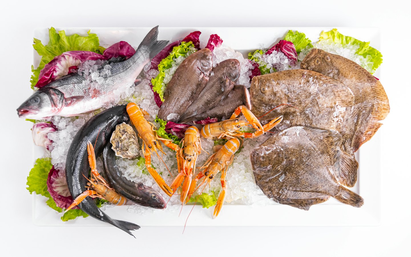 Varietà di pesce fresco crudo su ghiaccio tritato e lattuga.