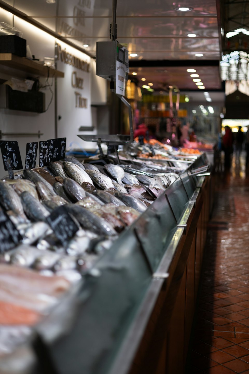 Salmone fresco e altro pesce intero riposano sul ghiaccio al mercato.